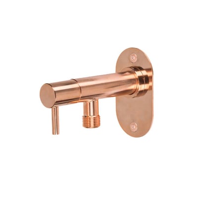 Frostline EQI 2010 posteventil i poleret kobber med udtrækkelig tud og 1/2" tilslutning, monteret på oval bagplade.