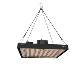 LEDlife Helios 150 W vekstlampe med svart ramme, synlige LED-rekker og justerbart oppheng.