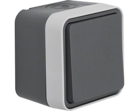 Berker grå krydsningsafbryder med hvid ramme, 250V, 16A, IP55, med tydelig trykknap og robust design.