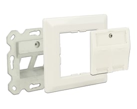 DeLock Keystone-vegguttak med 2 porter i hvitt, vist demontert med frontplate og monteringsramme i metall.