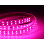 LEDlife 5 meter vandtæt LED strip med 180 LED pr. meter i pink lys, rullet sammen på en mørk baggrund.