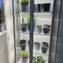LEDlife Max-Grow 2.0 vækstarmatur monteret over potteplanter i et højt skab med flere hylder.